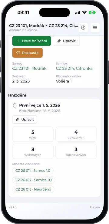Detail páru a hnízdění v iPhonu, světlý režim